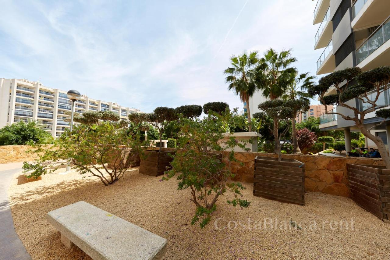 Luxurious, Newly-Renovated Large 2-Bedroom Condo By The Beach 貝尼多姆 外观 照片